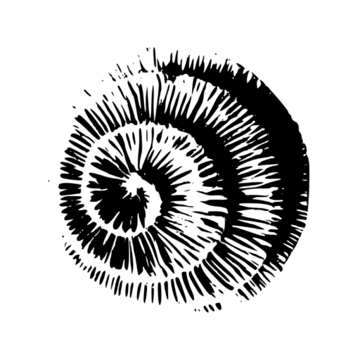 MahPyVision